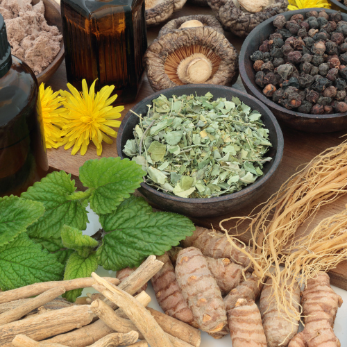 Exploring Adaptogens: Nature’s Answer to Stress